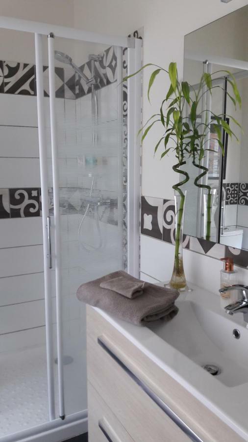La Pecherie Bed and Breakfast Selles-sur-Cher Εξωτερικό φωτογραφία